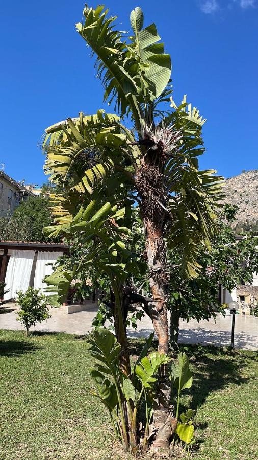 Campofelice Casa Vacanza ปาแลร์โม ภายนอก รูปภาพ